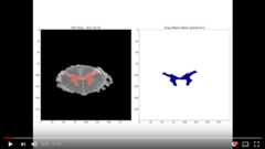 Segmentation Video