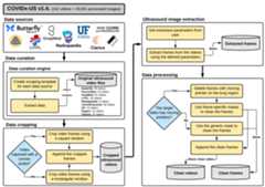 COVID-US-Conceptual flow