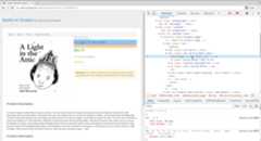 Product title in Developer Tools