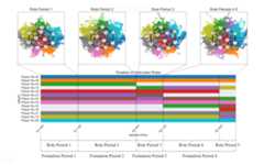 timeline