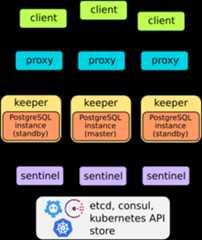 Stolon architecture
