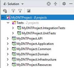 Solution Structure