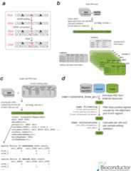 raer workflow overview