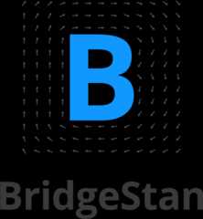 The BridgeStan logo
