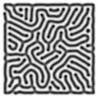 figures/zebra.png