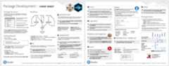 thumbnail of package development cheatsheet