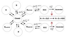 bpti-hdx