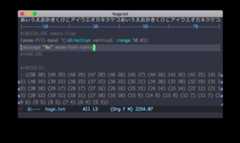 https://github.com/takaxp/contents/blob/master/moom/monaco-14pt8px.png