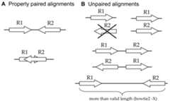 Alignment types