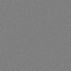 Blue Noise Texture