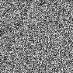 White Noise Texture