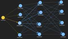 Network Graph