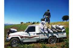 Land Cruiser Truck in a farm in Costa Rica