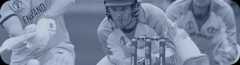 Cricket Banner