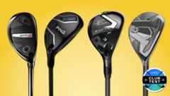 Sample of the best hybrids from Clubtest 2025.