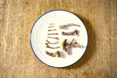 きれいに食べられたら、最後はこうなります。まるで発掘現場ですね!