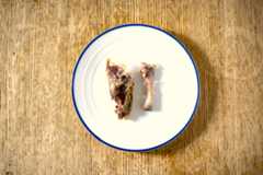 きれいに食べられたら、この通り。左が背骨、右が大腿骨です。