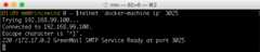 Connecting with telnet to GreenMail docker SMTP service