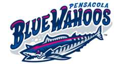 Pensacola Blue Wahoos