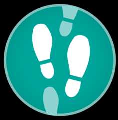 Safety Action Plan - Pedestrians