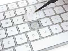 Magic Keyboard Teardown: step 11, image 1 of 1