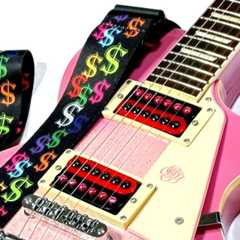 取付け Perri's (ペリーズ) LPCP-7209 ドル柄ギターストラップ BGYPSYROSE GRE2K/CPK その1