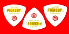 仕様 PICKBOY (ピックボーイ) 日本のおみやげギターピック PB100M001 彫刻シリーズ 裏面
