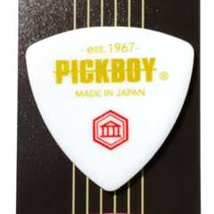 デザイン PICKBOY (ピックボーイ) 日本のおみやげギターピック PB100M001 彫刻シリーズ 裏面