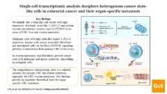 Visual abstract of: Single-cell transcriptomic analysis deciphers heterogenous cancer stem-like cells in colorectal cancer and their organ-specific metastasis
