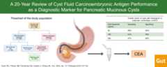 Visual abstract on Revisiting the performance of cyst fluid carcinoembryonic antigen as a diagnostic marker for pancreatic mucinous cysts: a comprehensive 20-year institutional review