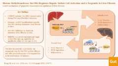Visual abstract: Histone methyltransferase Suv39h1 regulates hepatic stellate cell activation and is targetable in liver fibrosis