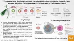 Visual abstract: Comprehensive single-cell analysis deciphered microenvironmental dynamics and immune regulator olfactomedin 4 in pathogenesis of gallbladder cancer