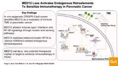 Visual abstract: MED12 loss activates endogenous retroelements to sensitise immunotherapy in pancreatic cancer