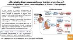 Visual Abstract: p53 mutation biases squamocolumnar junction progenitor cells towards dysplasia rather than metaplasia in Barrett’s oesophagus