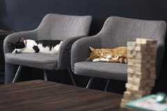 Desiree Halpern | Staff photographer