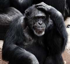 アウトプットの詰まりを除去するために「インプットの量」と「考える時間」を増やしてみる