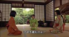 茶々 天涯の貴妃