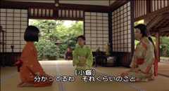 茶々 天涯の貴妃