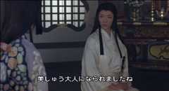 茶々 天涯の貴妃