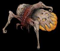 Artwork of the Flood infester form. In the Halo Encyclopedia (2022 edition), this art is incorrectly used to depict the Flood spawner form.