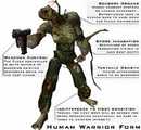A human attacker form from Halo: Combat Evolved.