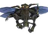 Another Yanme'e in Halo 3.