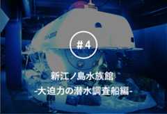 シラスの一生、可愛いペンギンやイルカ、大迫力の潜水調査船……！湘南・江の島観光に絶対おススメな新江ノ島水族館