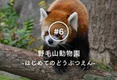 無料でここまで楽しめる＆学べる！“はじめてのどうぶつえん”野毛山動物園の魅力徹底レポート