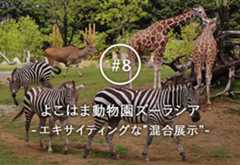 肉食動物と草食動物が共存する、エキサイティングな空間！　 よこはま動物園ズーラシアの「混合展示」の秘密にせまる