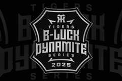 TIGERS B-LUCK DYNAMITE SERIES