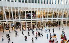 Black Friday: our winning strategies for attracting audiences to your shops