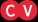 CV
