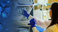 UC Davis Health researcher working in lab