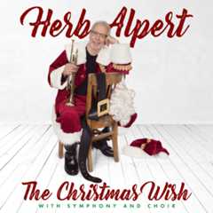 THE CHRISTMAS WISH